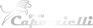 grupo-capozzielli-2